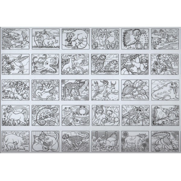 344 cahier coloriage animaux
