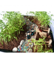 Mini-jardin "Chemin de campagne"