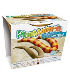Kit Plantanimals Serpent
